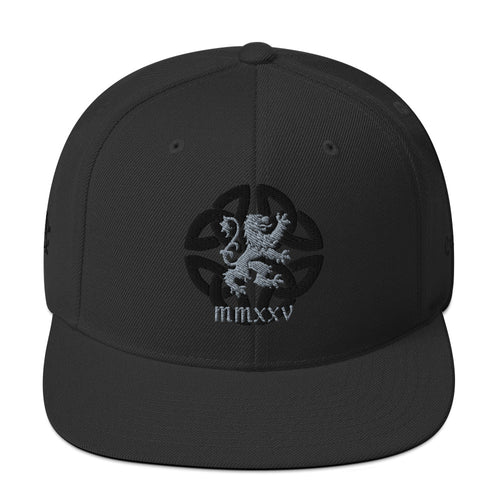 AC Structured Snapback in black — front view, Celtic knot and lion embroidery, by Agilis Cultus