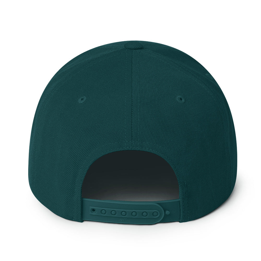 AC Agilis Cultus classic snapback hat in spruce green, back view, adjustable snapback closure, structured crown, minimalist black and white aesthetic